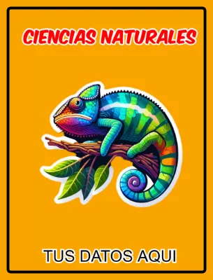 Portada para cuaderno de ciencias naturales Aestethic 2